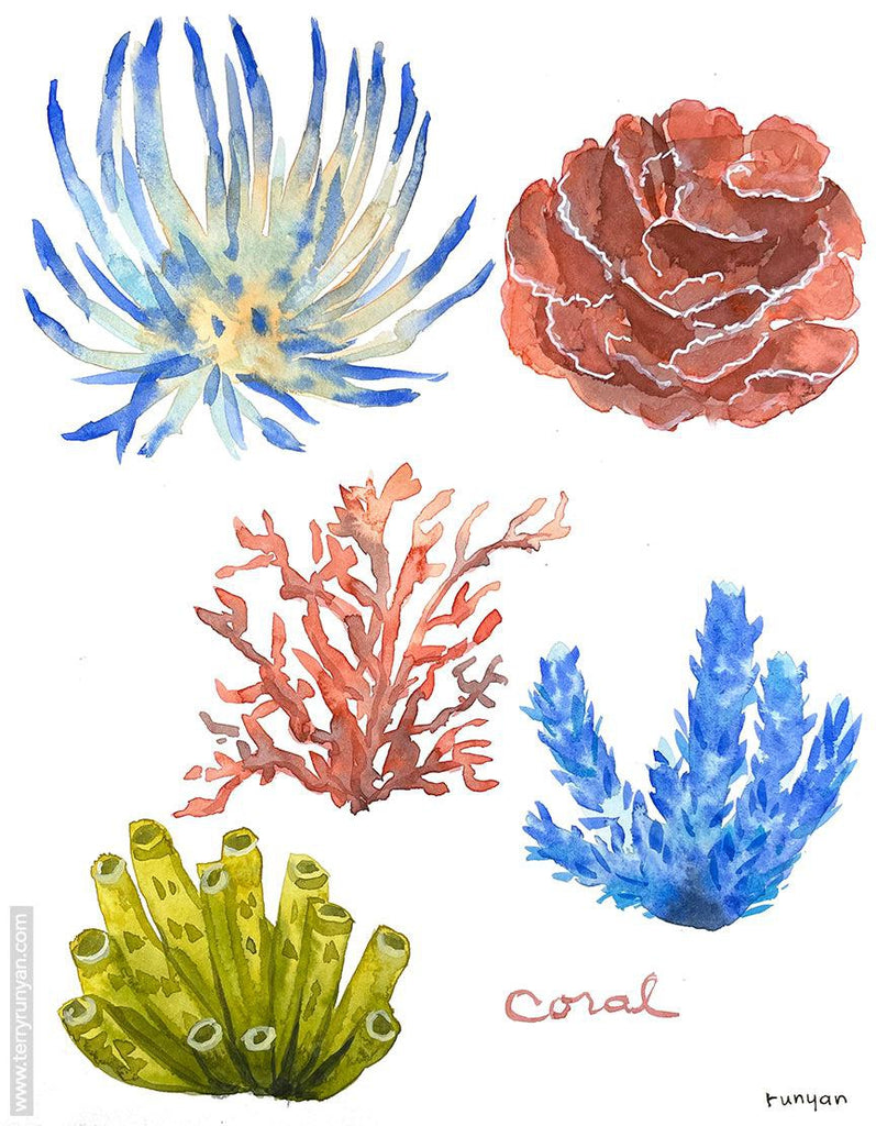 Coral Starfish & Sea Urchin!-Terry Runyan Creative