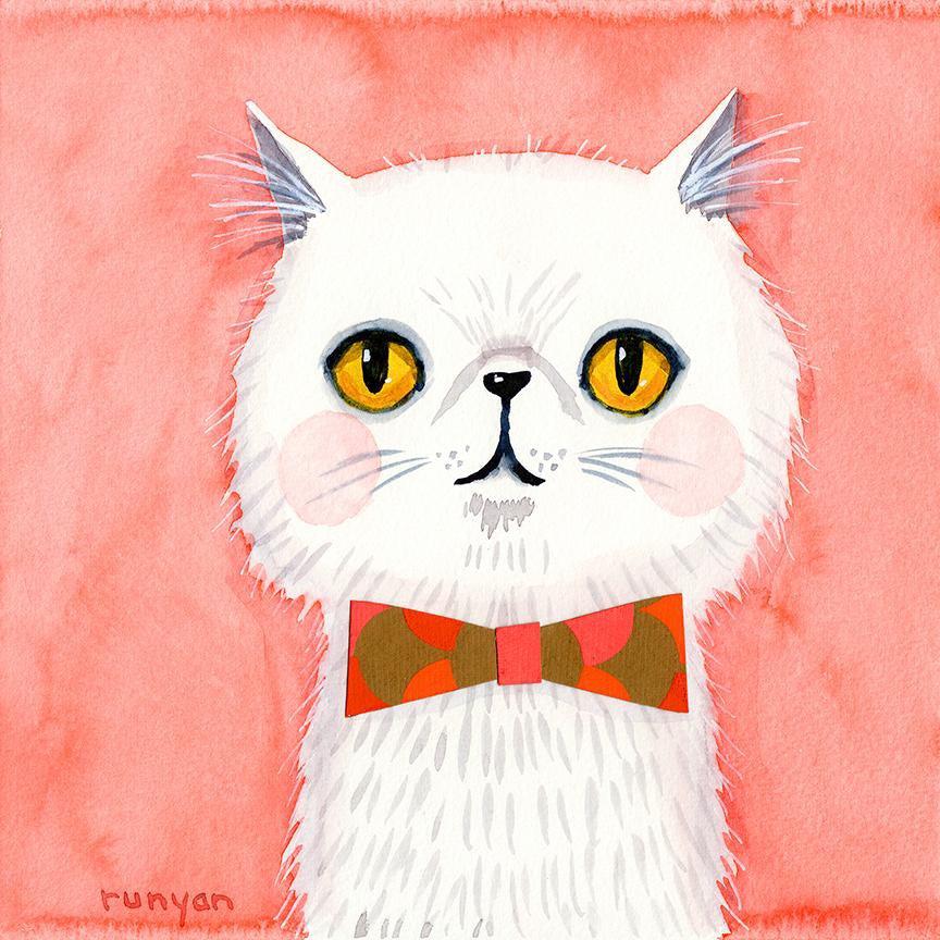 White Persian!-Terry Runyan Creative