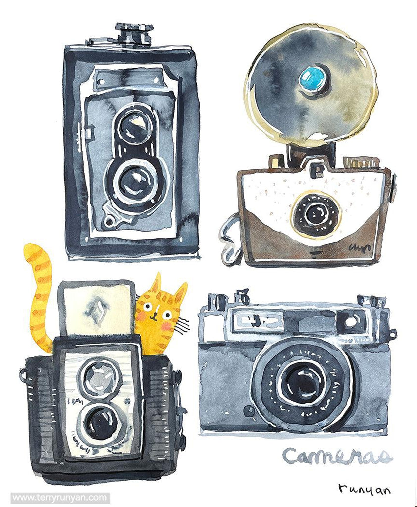 Cameras! Happy Mother's Day!-Terry Runyan Creative