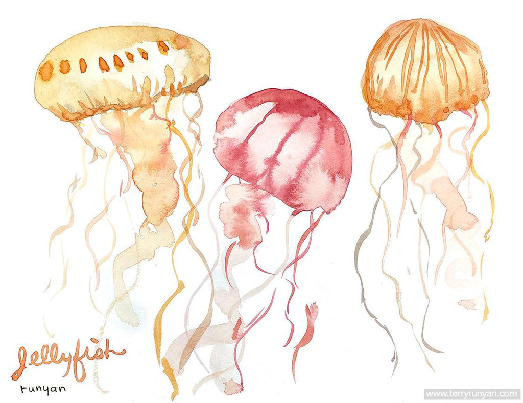 Jellyfish!-Terry Runyan Creative