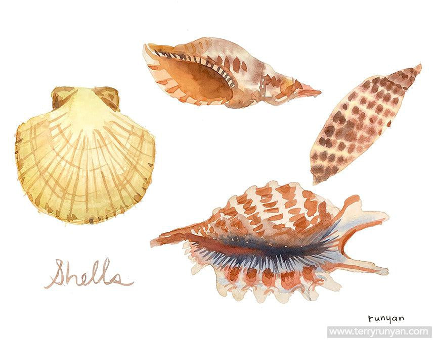 Shells!-Terry Runyan Creative