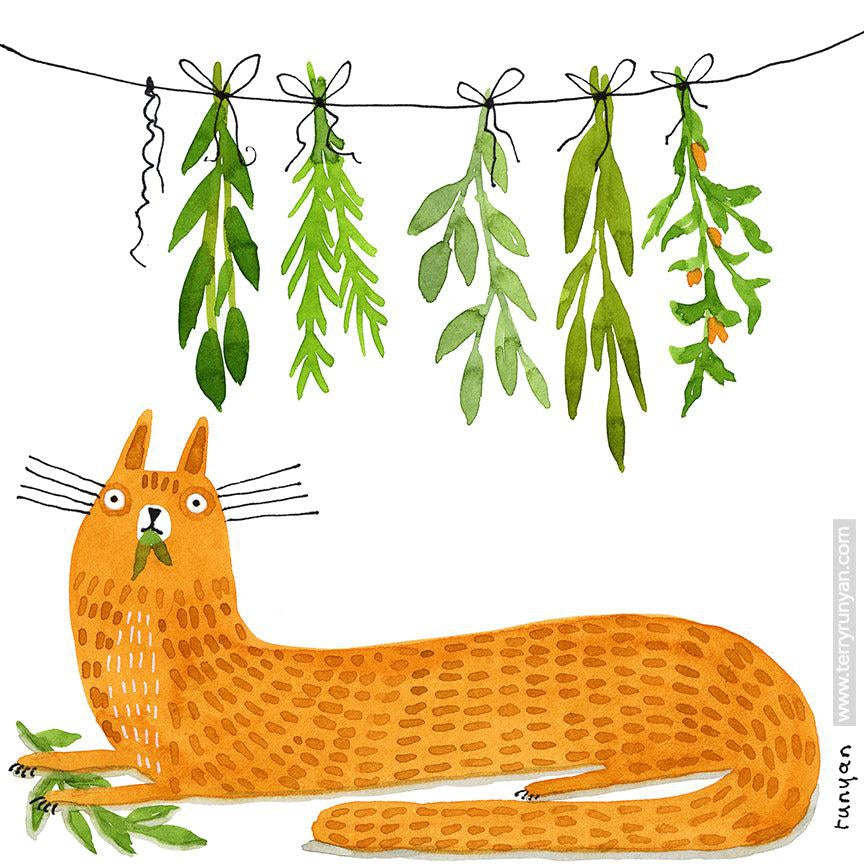 Herbs! 🌿-Terry Runyan Creative