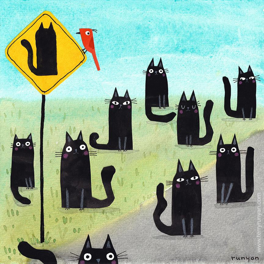 Black Cat Zone! Happy #caturday!-Terry Runyan Creative
