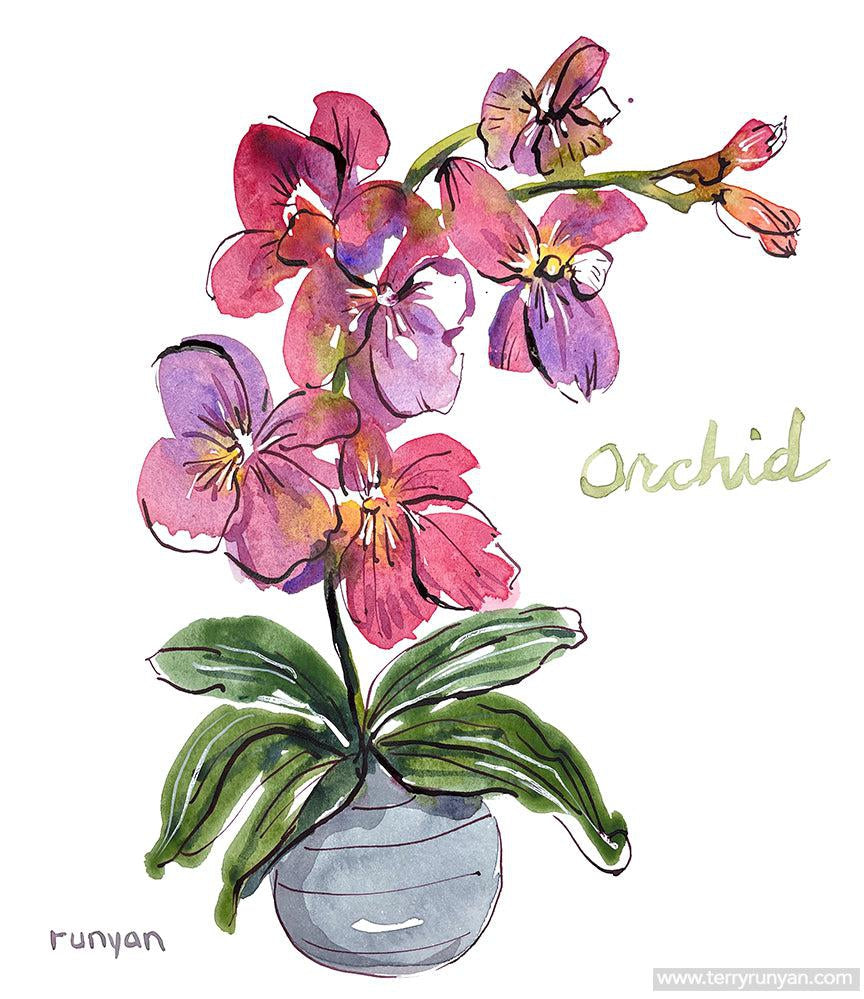 Orchid!-Terry Runyan Creative