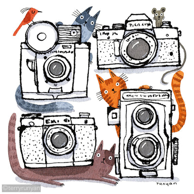 CAMERA CATS 2-Terry Runyan Creative-Terry Runyan Creative