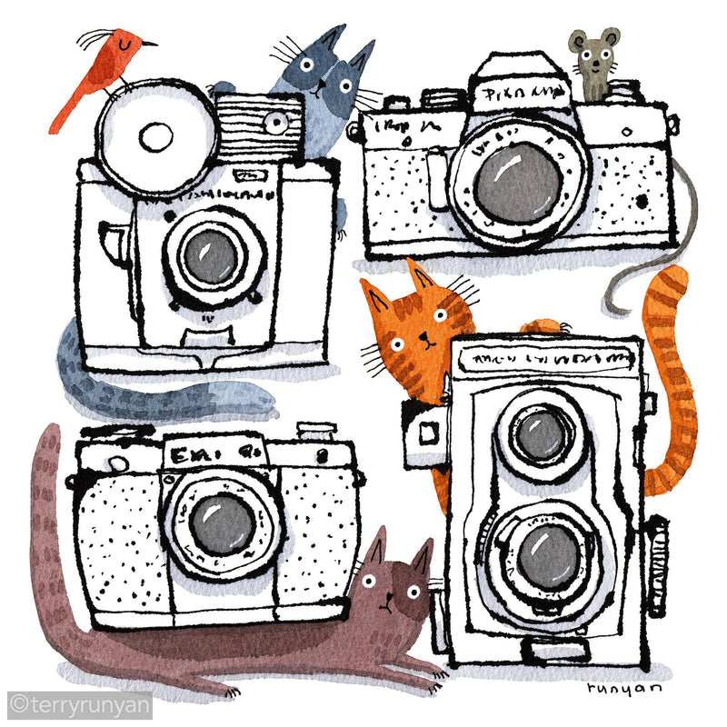 CAMERA CATS 2-Art Print-Terry Runyan Creative-Terry Runyan Creative