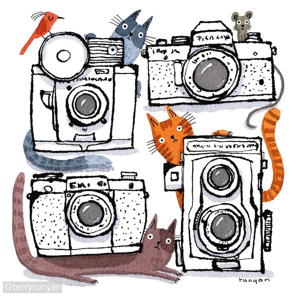 CAMERA CATS 2-Art Print-Terry Runyan Creative-Terry Runyan Creative